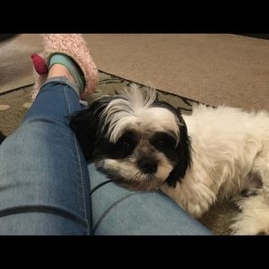 Meet your Posher, Hailey